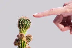 learnhardwy (1)